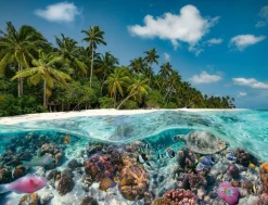 Ravensburger 2000 Pieces* - A Dive In The Maldives - 2000 Piece Jigsaw Puzzle
