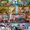 Ravensburger 2000 Pieces* - Amazing Animal Kingdom - 2000 Piece Jigsaw Puzzle