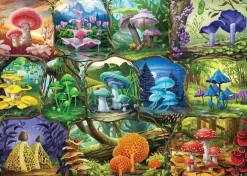 Ravensburger 1000 Pieces* - Beautiful Mushrooms - 1000 Piece Jigsaw Puzzle