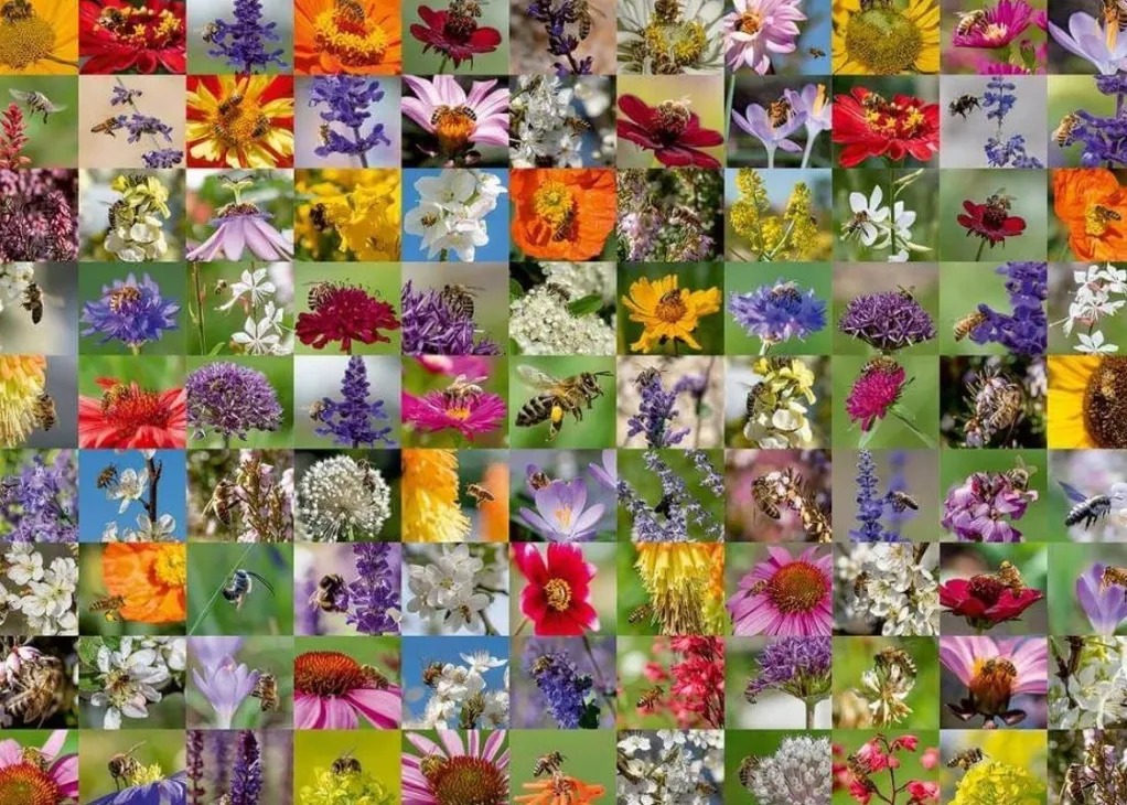 Ravensburger 1000 Pieces* - Bee Collage - 1000 Piece Jigsaw Puzzle