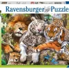 Ravensburger 300 Pieces & Under* - Big Cat Nap - 200Xxl Piece Jigsaw Puzzle