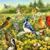 Ravensburger 500 Pieces* - Birds In The Meadow - 500 Piece Jigsaw Puzzle