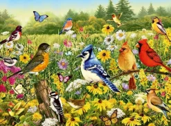 Ravensburger 500 Pieces* - Birds In The Meadow - 500 Piece Jigsaw Puzzle