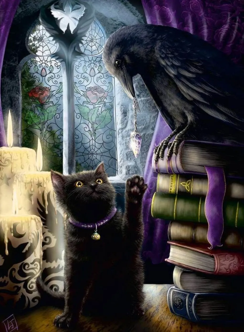 Ravensburger 500 Pieces* - Black Cat And Raven - 500 Piece Jigsaw Puzzle