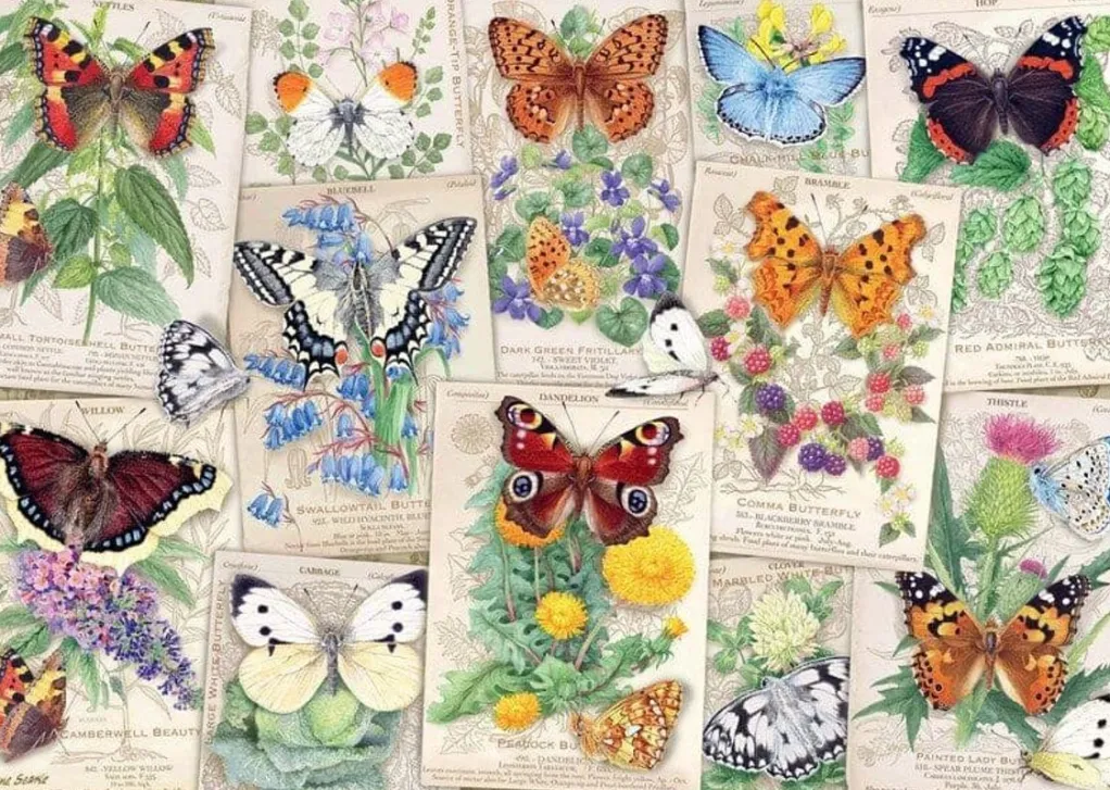 Ravensburger 1000 Pieces* - Butterfly Splendours - 1000 Piece Jigsaw Puzzle