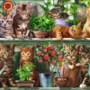 Ravensburger 500 Pieces* - Cats On The Shelf - 500 Piece Jigsaw Puzzle