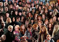 Ravensburger 1000 Pieces* - Challenge - Harry Potter - 1000 Piece Jigsaw Puzzle