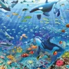 Ravensburger 3000 Pieces & Above* - Colourful Underwater World - 3000 Piece Jigsaw Puzzle