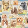 Ravensburger 1000 Pieces* - Dutiful Dogs - 1000 Piece Jigsaw Puzzle