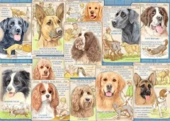 Ravensburger 1000 Pieces* - Dutiful Dogs - 1000 Piece Jigsaw Puzzle