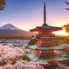 Ravensburger 1000 Pieces* - Fuji Cherry Blossom View - 1000 Piece Jigsaw Puzzle