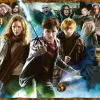 Ravensburger 1000 Pieces* - Harry Potter - 1000 Piece Jigsaw Puzzle