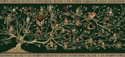Ravensburger 2000 Pieces* - Harry Potter Black Family Tree - 2000 Piece Jigsaw Puzzle