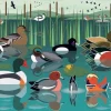 Ravensburger 500 Pieces* - I Like Birds - Water - 500 Piece Jigsaw Puzzle
