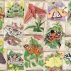 Ravensburger 1000 Pieces* - Marvellous Moths - 1000 Piece Jigsaw Puzzle