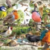 Ravensburger 1000 Pieces* - Our Feathered Friend - 1000 Piece Jigsaw Puzzle