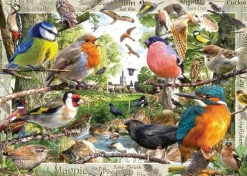 Ravensburger 1000 Pieces* - Our Feathered Friend - 1000 Piece Jigsaw Puzzle