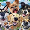 Ravensburger 500 Pieces* - Selfies Dogs Delight - 500 Piece Jigsaw Puzzle
