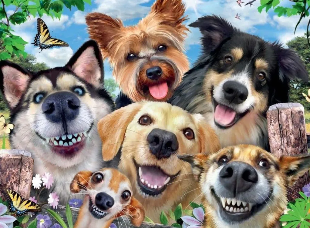Ravensburger 500 Pieces* - Selfies Dogs Delight - 500 Piece Jigsaw Puzzle