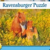 Ravensburger 100 Pieces & Under* - Shetland Pony - 100Xxl Piece Jigsaw Puzzle