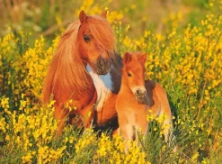 Ravensburger 100 Pieces & Under* - Shetland Pony - 100Xxl Piece Jigsaw Puzzle