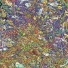 Ravensburger 1500 Pieces* - Shoal - 1500 Piece Jigsaw Puzzle
