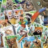 Ravensburger 1000 Pieces* - Traveller'S Animal Journal - 1000 Piece Jigsaw Puzzle