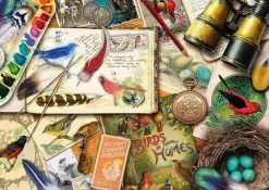 Schmidt 1000 Pieces* - Aimee Stewart - Birdwatching - 1000 Piece Jigsaw Puzzle