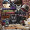 Schmidt 1000 Pieces* - Brigid Ashwood - Storytime Cats - 1000 Piece Jigsaw Puzzle