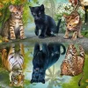 Schmidt 1000 Pieces* - Dream Big! - 1000 Piece Jigsaw Puzzle