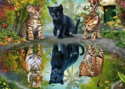 Schmidt 1000 Pieces* - Dream Big! - 1000 Piece Jigsaw Puzzle