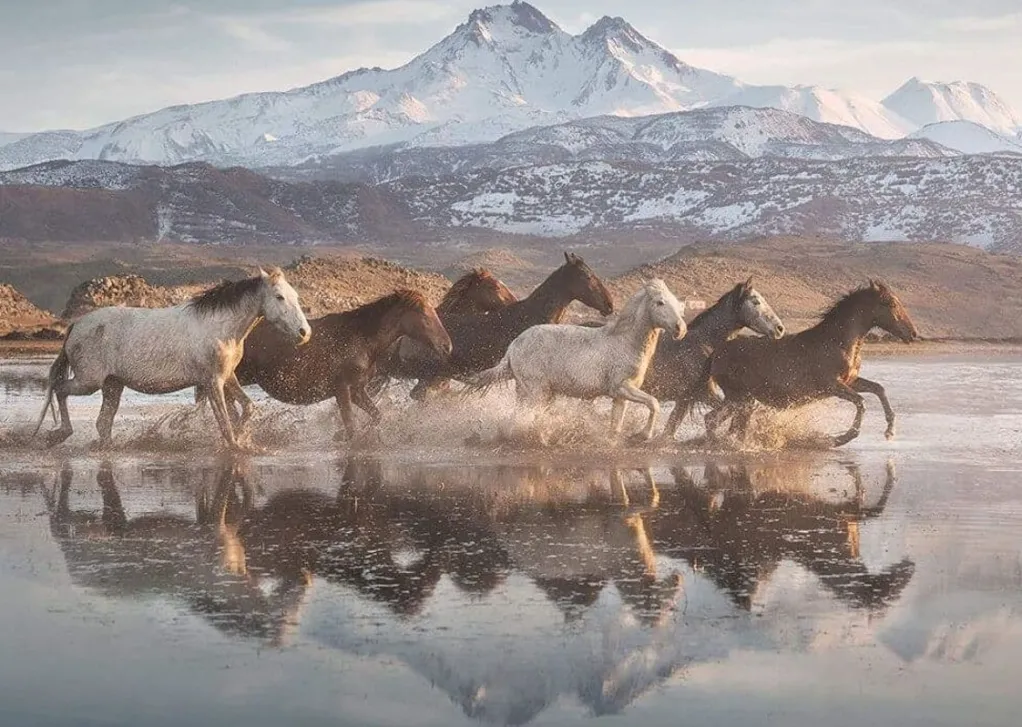 Schmidt 1000 Pieces* - Horses In Cappadocia - 1000 Piece Jigsaw Puzzle