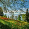 Schmidt 1000 Pieces* - Spring Avenue Mainau - 1000 Piece Jigsaw Puzzle