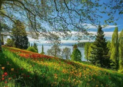 Schmidt 1000 Pieces* - Spring Avenue Mainau - 1000 Piece Jigsaw Puzzle