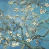 Wentworth 100 Pieces & Under* - Almond Blossom - Van Gogh - 40 Piece Wooden Jigsaw Puzzle