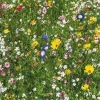 Wentworth 100 Pieces & Under* - Colourful Meadow - 40 Piece Wooden Jigsaw Puzzle