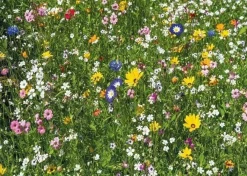 Wentworth 100 Pieces & Under* - Colourful Meadow - 40 Piece Wooden Jigsaw Puzzle