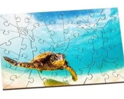 Wentworth 100 Pieces & Under* - Green Sea Turtle - 40 Piece Wooden Jigsaw Puzzle