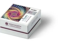 Wentworth 100 Pieces & Under* - Vortex Spiral Tunnel - 40 Piece Wooden Jigsaw Puzzle