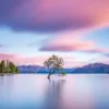 Wentworth 100 Pieces & Under* - Wanaka Tree - 40 Piece Wooden Jigsaw Puzzle