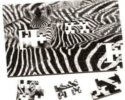 Wentworth 100 Pieces & Under* - White Stripes - 40 Piece Wooden Jigsaw Puzzle
